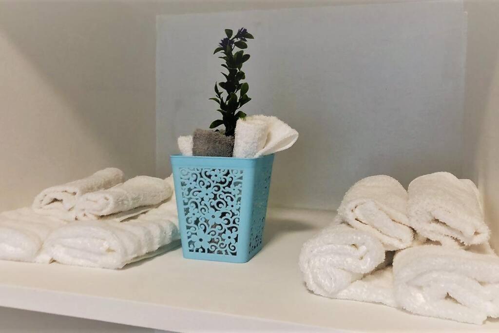 Lovely 1 Bedroom Apartment W/Private Parking Ensenada Eksteriør bilde